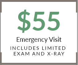 $55 New Patient Visit stamp