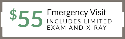 $55 New Patient Visit stamp